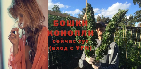 скорость Ладушкин