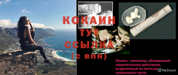 скорость Ладушкин