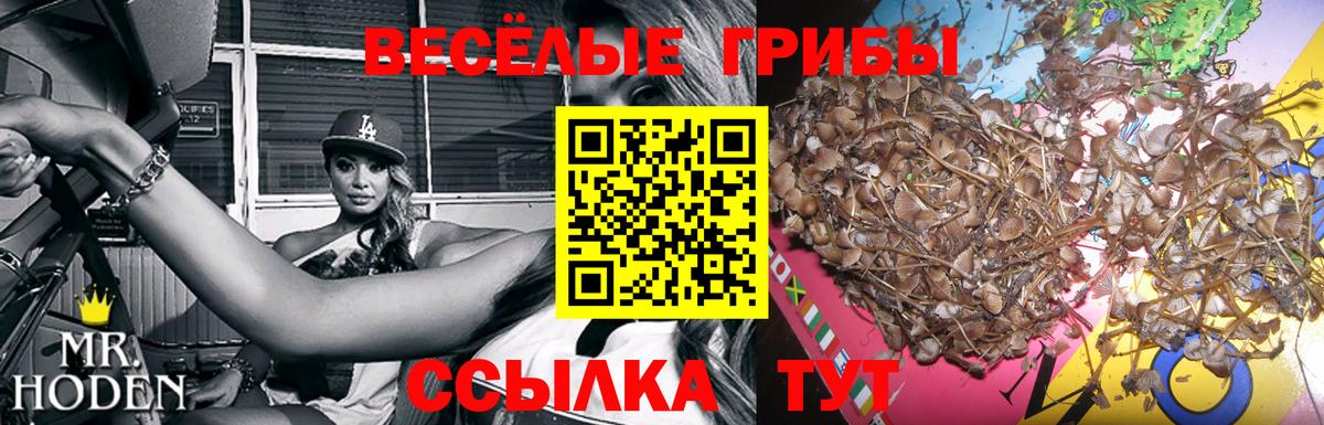 Псилоцибиновые грибы Cubensis  Вход с VPN  Орск 