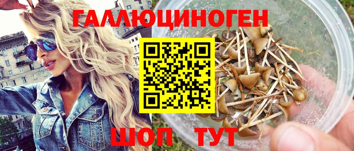 Псилоцибиновые грибы мухоморы Орск